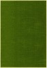Covor Model Kolibri 11000-130, Marime 80 x 150 cm, Verde, Inaltime Fir 9 mm, Antialergic, Polipropilena, Living, Dormitor, Sufragerie, Birou