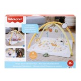 FISHER PRICE SALTELUTA DE GIMNASTICA PENTRU NOU NASCUTI