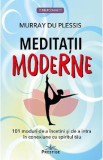 Meditatii moderne - Murray Du Plessis