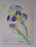 Pictura in acuarela neinramata - flori de iris , semnata, anul 2005, 18 x 24 cm, Realism