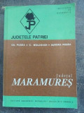 Judel Maramures- Gr. Posea, C. Moldovan