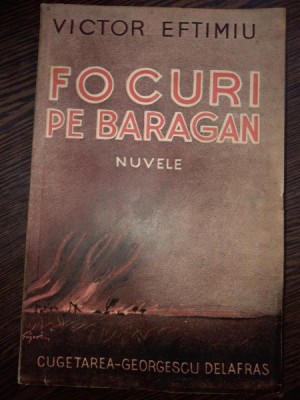 FOCURI PE BARAGAN - NUVELE DE VICTOR EFTIMIU foto