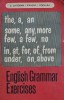 English grammar exercises - 1972 - Dumitru Chitoran (D271)