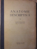 ANATOMIE DESCRIPTIVA VOL.1 OSTEOLOGIA, SINDESMOLOGIA, MIOLOGIA, APARATUL LOCOMOTOR, DIGESTIV, RESPIR-E. REPCIUC