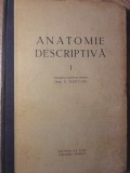 ANATOMIE DESCRIPTIVA VOL.1 OSTEOLOGIA, SINDESMOLOGIA, MIOLOGIA, APARATUL LOCOMOTOR, DIGESTIV, RESPIR-E. REP-234062