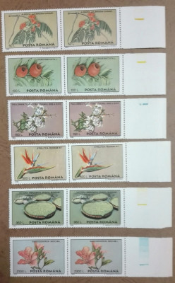 TIMBRE ROMANIA MNH LP1393/1995 Flori Gradina Botanica Bucuresti Serie in pereche foto