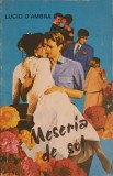 MESERIA DE SOT-LUCIO D&#039;AMBRA-246491