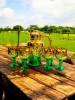 Set carafă cu pahare verzi model trandafir