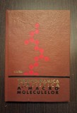 TERMODINAMICA STATISTICA A MACRO MOLECULELOR - I. PETREA
