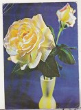 Bnk cp Romania - felicitare - flori - circulata - marca fixa - cod 3001/71