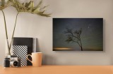 Tablou Canvas Copacul Solitar sub Cerul &icirc;nstelat cu Stele și Noapte, 39 x 26 cm, CMCLASS