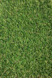 Cumpara ieftin Covor Gazon Iarba Artificiala Jakarta 30 mm Latime 1 m - 100x500, Verde