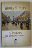 O INTALNIRE PE STRADA HAZARD de ANDREA H. HEDES , 2020 *PREZINTA HALOURI DE APA