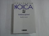 CONSTANTIN NOICA - ECHILIBRUL SPIRITUAL - STUDII SI ESEURI