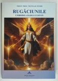 RUGACIUNILE UMBRIREA HARULUI DIVIN de NICOLAE FEIER , 2024 , DEDICATIE*
