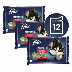 FELIX Fantastic pliculețe, selecție delicioasă cu legume în gelatină 12 x 85 g