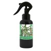 Ingrasamant Foliar Organic Plante Ornamentale, 500ml, Bio, Stralucire &amp; Crestere, Universal: Ficus, Croton, Dracaena