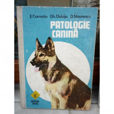 PATOLOGIE CANINA , E CARNATIU, GH DABIJA, D STOENESCU