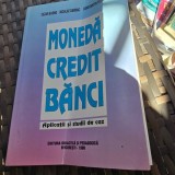 Moneda Credit Banci. Aplicatii si studii de caz - Cezar Basno, Constantin Floricel