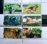 Cuba 2015 c&acirc;ini de rasă , animale ,fauna ,serie 6v. nestampilata