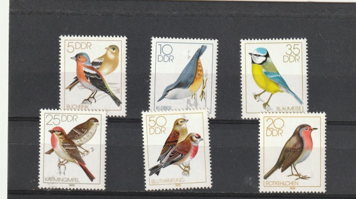 Fauna ,pasarele cantatoare. Germania (DDR).