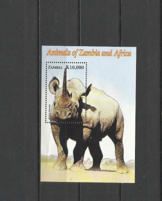 ZAMBIA 2005 FAUNA ANIMALE SALBATICE RINOCERI foto