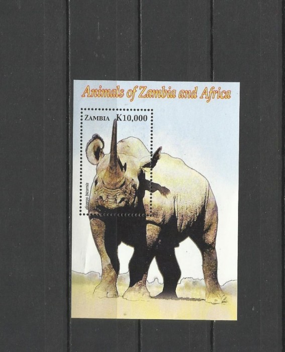 ZAMBIA 2005 FAUNA ANIMALE SALBATICE RINOCERI