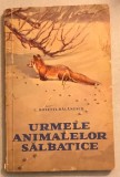 Urmele Animalelor Salbatice - C. Rosetti Balanescu