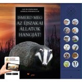 Ismerd meg az &eacute;jszakai &aacute;llatok hangj&aacute;t! - Ki motoz a s&ouml;t&eacute;tben? - Caz Buckingham
