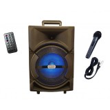 Boxa Activa Cu Statie Tip Troller , Microfon , Bluetooth , FM , USB , Card SD ,Telecomanda ,Lumini Party,