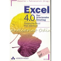 Excel 4.0 Der Praxinahe Einstieg - Natascha Nicol, Ralf Albrecht