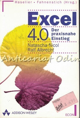 Excel 4.0 Der Praxinahe Einstieg - Natascha Nicol, Ralf Albrecht foto