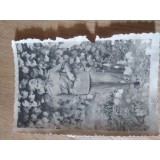 Fotografii Tematica Militari