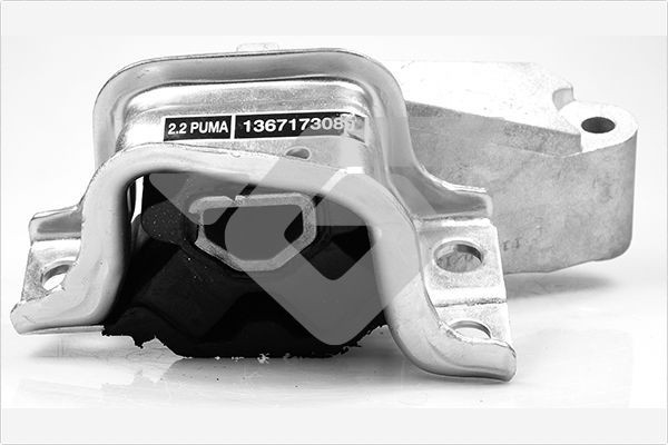 HUTCHINSON 594466 Suport motor