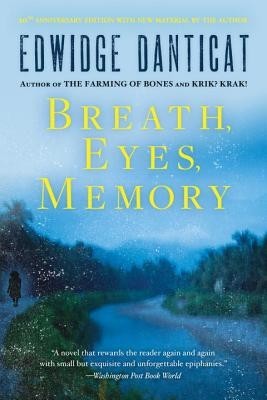 Breath, Eyes, Memory foto