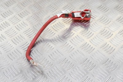 Cablu baterie pozitiv TESLA MODEL 3 2018 OEM: 1067971-00-D 11430247 foto