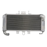 RADIATOR YAMAHA FZS 600 1998 2004