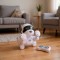 Neo c&amp;acirc;ine robot inteligent, interactiv - 2