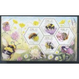 IRLANDA 2018 FAUNA INSECTE ALBINE