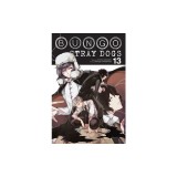 Bungo Stray Dogs, Vol. 13