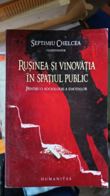 Rusinea si Vinovatia in Spatiul Public - Septimiu Chelcea foto