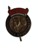 Insigna Ungaria 1945 - Zilele sportive