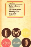 DETERMINATOR PENTRU RECUNOASTEREA DAUNATORILOR PLANTELOR CULTIVATE-V. ROGOJANU-336940, Carti agronomie