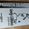 George Calinescu, Profesorul - in memoriam (Editura Ametist 92, 1999)