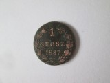 Cumpara ieftin Rara! Polonia Ocupatia Rusa 1 Grosz 1837 MW Tarul Nicolae I,diametrul=19 mm,greutate=2,80 grame
