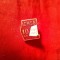 Insigna RSR 1970 - ICMSG - 10 Ani - Constructii si Montaje Siderurgice Galati , h=1,5cm