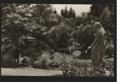 CPI B13636 CARTE POSTALA - CLUJ - GRADINA BOTANICA foto