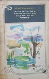 NADA FLORILOR. ANII DE UCENICIE. CELE MAI VECHI AMINTIRI-MIHAIL SADOVEANU