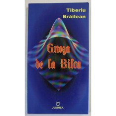 GNOZA DE BILCA de TIBERIU BRAILEAN , 2007