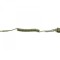 Cordon siguranta Cybergun Olive
